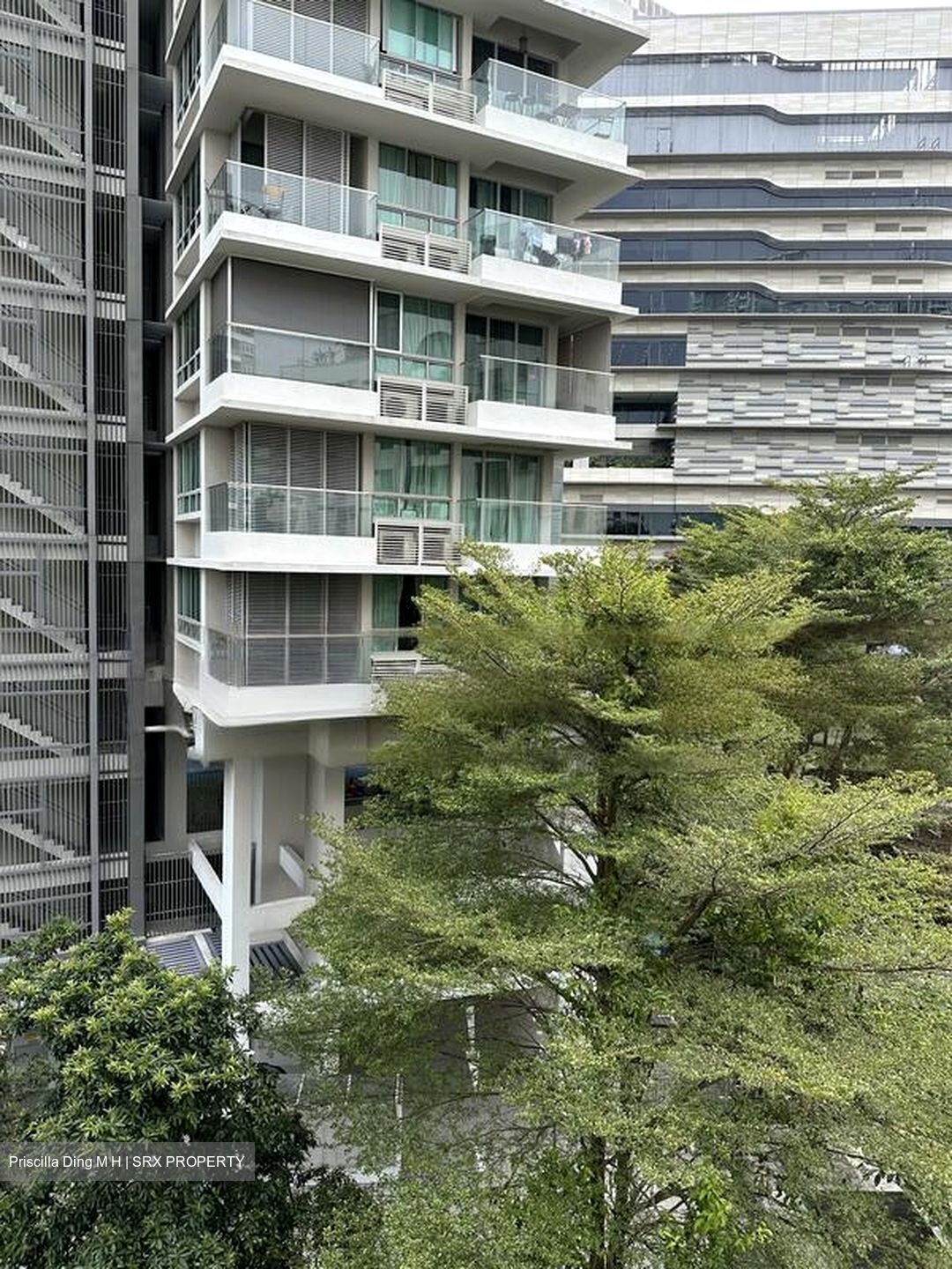 Bassein Court (D11), Apartment #481933281